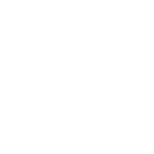 Authentic experience icon