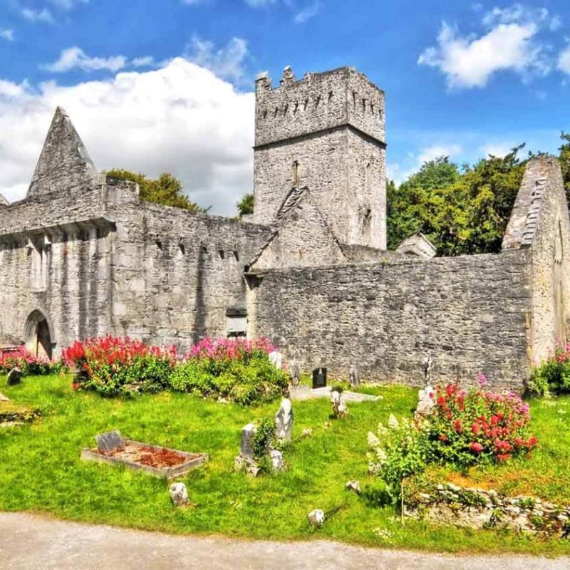Muckross abbey with flowers in the foreground