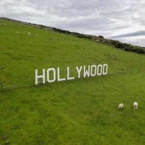 Hollywood (The Original!)