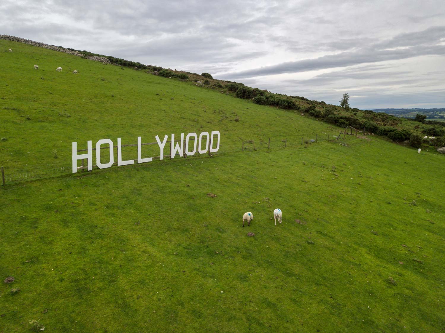 Hollywood (The Original!)