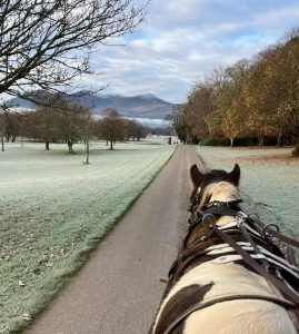 Jaunting Around Killarney National Park