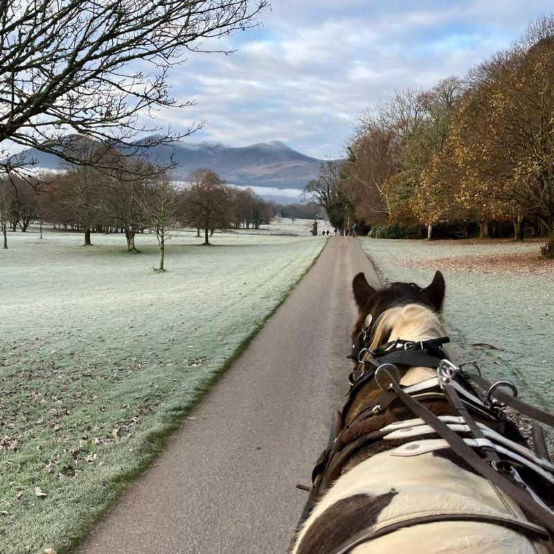 Jaunting car in killarney national park