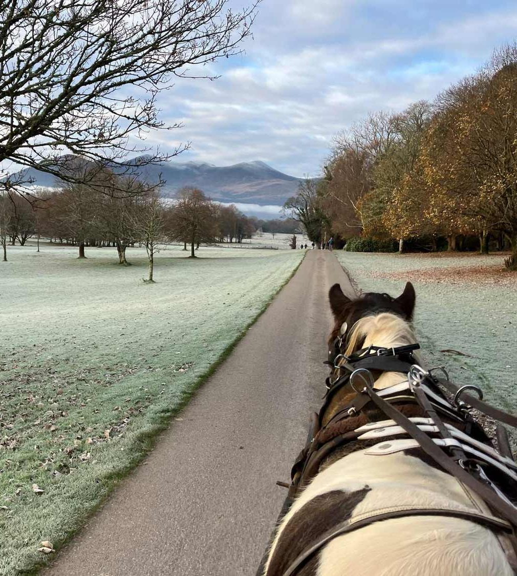 Jaunting Around Killarney National Park