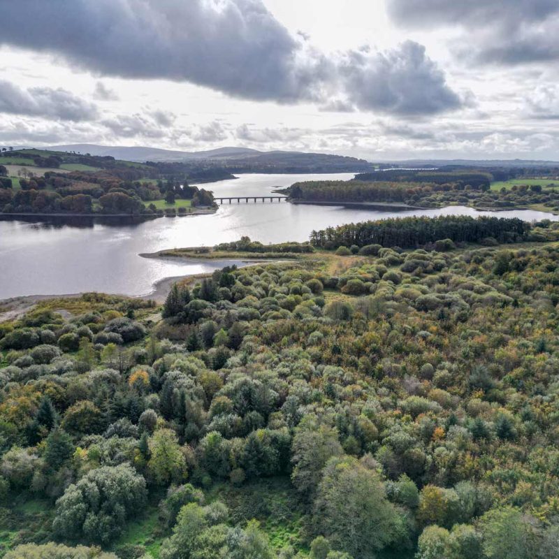 Wicklow national park