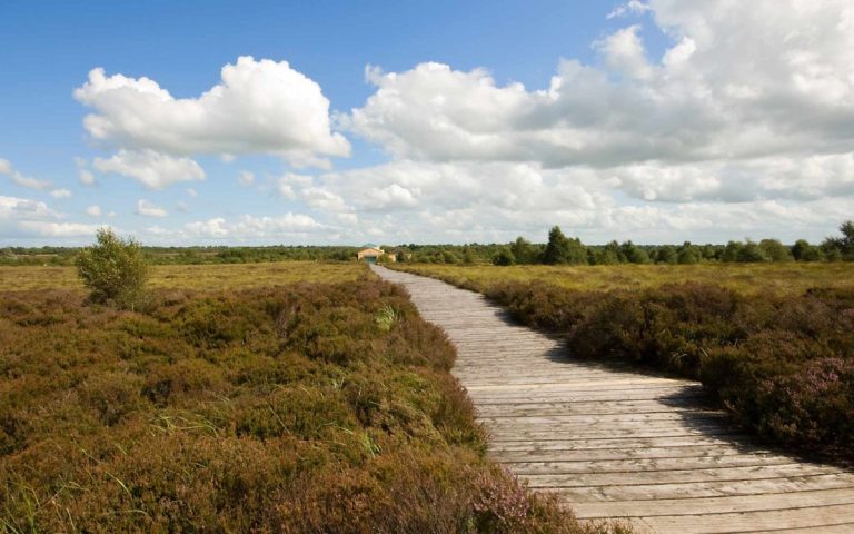 Corlea-Trackway