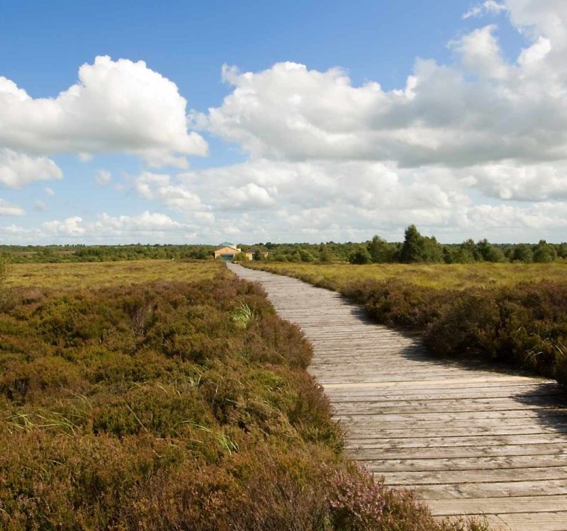 Corlea-Trackway