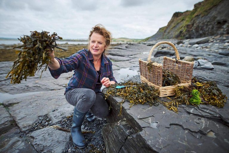 Oonagh O dwyer foraging for seaweed