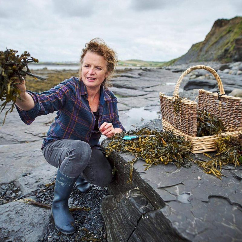 Oonagh O dwyer foraging for seaweed