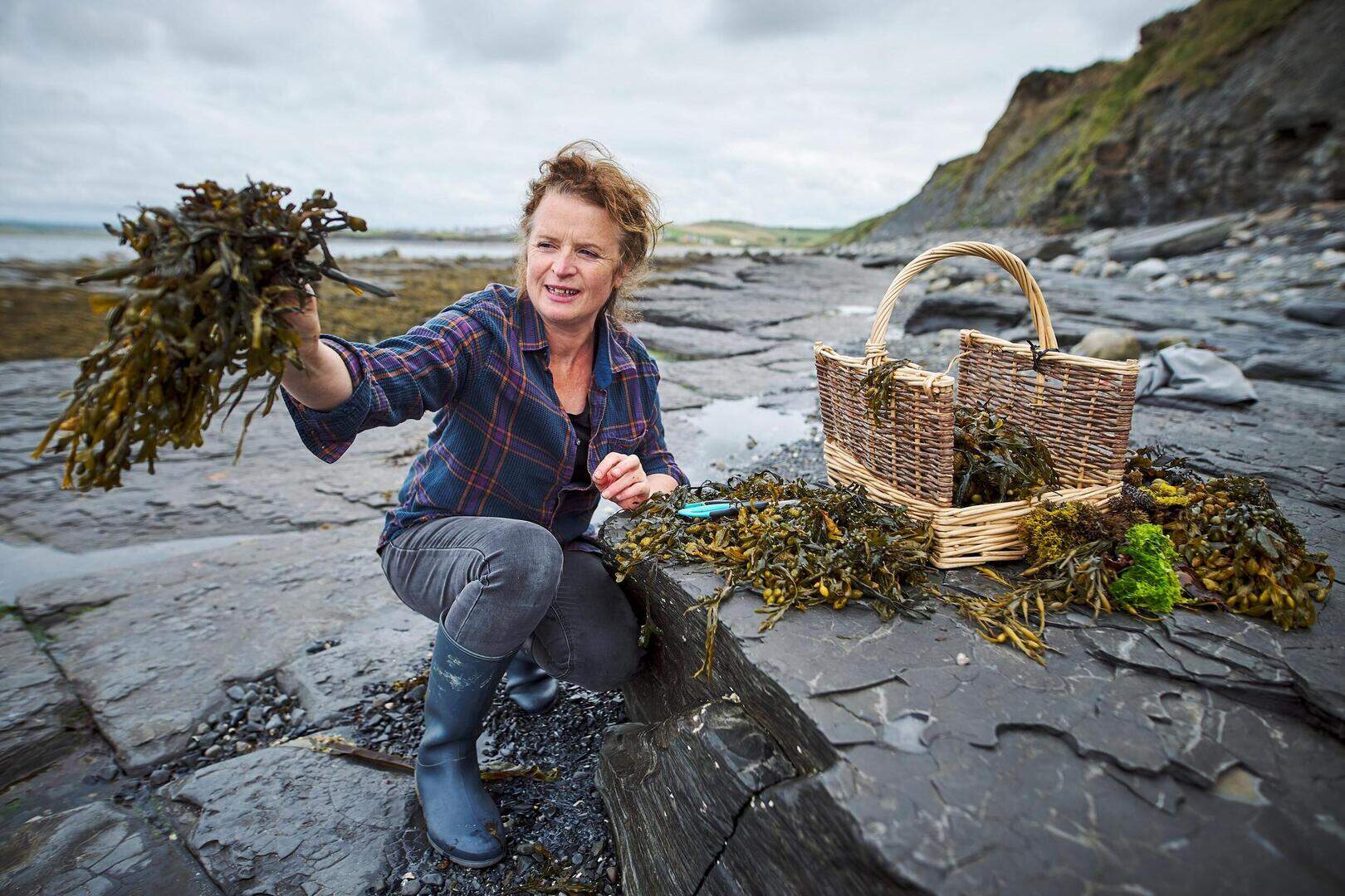 Wild Kitchen Foraging Experience